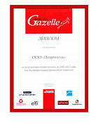 Gazelle бизнеса - 2013